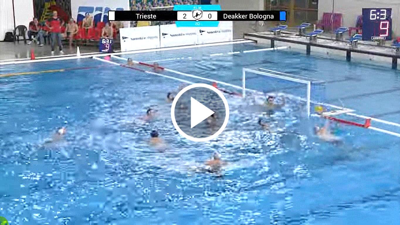 01 Sedl Bologna